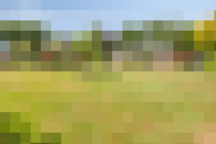 Zuideind 13 A Drouwenerveen thumbnail 8