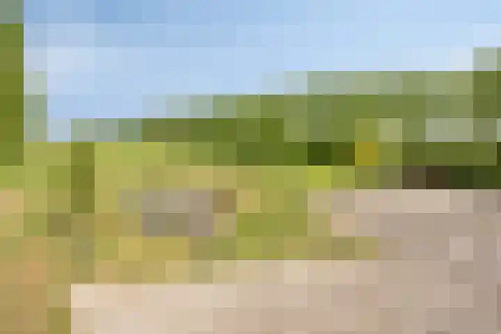 Zuideind 13 A Drouwenerveen thumbnail 9