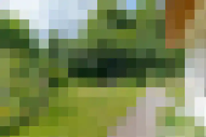 Zuideind 19 Drouwenerveen thumbnail 10