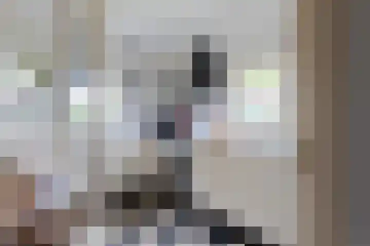 Zuideind 19 Drouwenerveen thumbnail 12