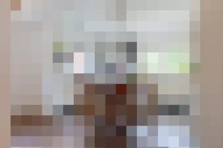 Zuideind 19 Drouwenerveen thumbnail 15
