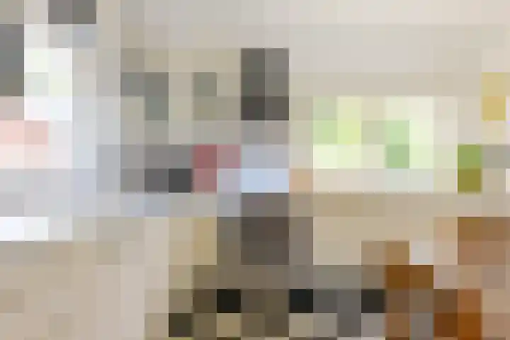Zuideind 19 Drouwenerveen thumbnail 16