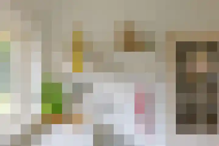 Zuideind 19 Drouwenerveen thumbnail 19