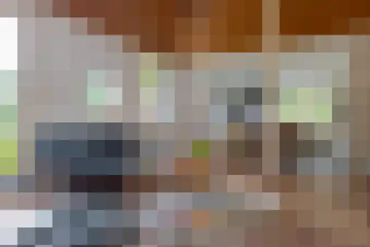 Zuideind 19 Drouwenerveen thumbnail 22
