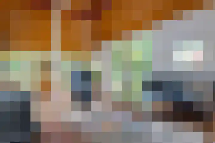 Zuideind 19 Drouwenerveen thumbnail 23