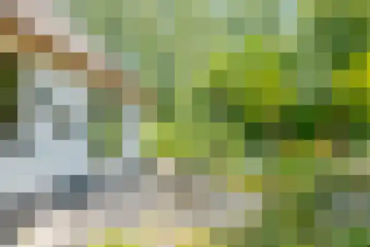 Zuideind 19 Drouwenerveen thumbnail 26