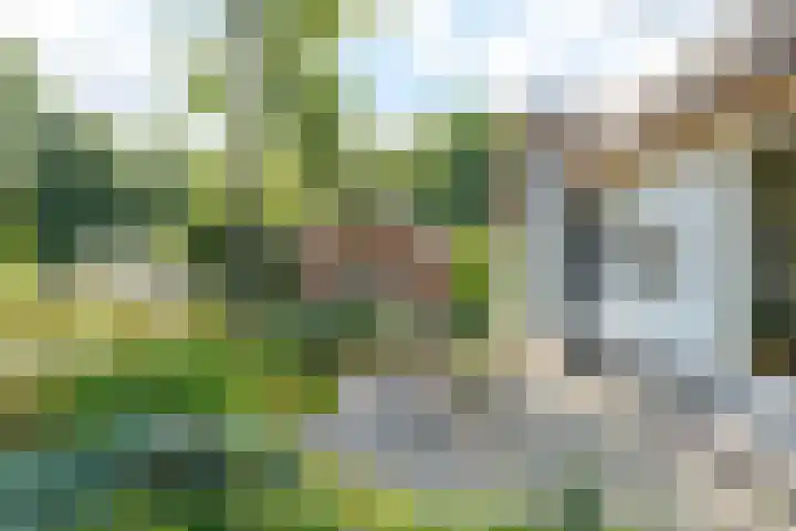 Zuideind 19 Drouwenerveen thumbnail 27
