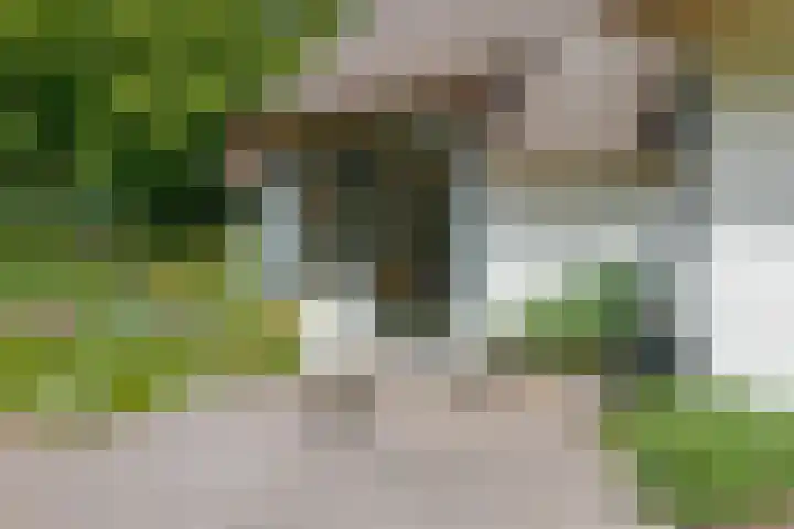 Zuideind 19 Drouwenerveen thumbnail 36