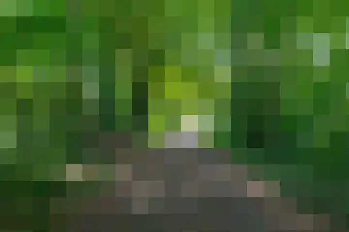 Zuideind 19 Drouwenerveen thumbnail 4