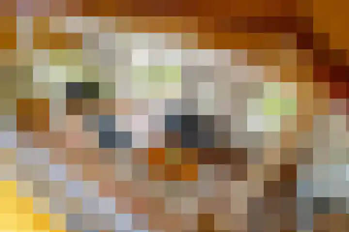 Zuideind 19 Drouwenerveen thumbnail 47