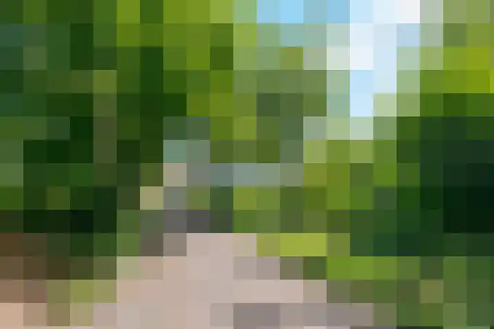 Zuideind 19 Drouwenerveen thumbnail 5