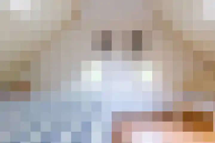 Zuideind 19 Drouwenerveen thumbnail 50