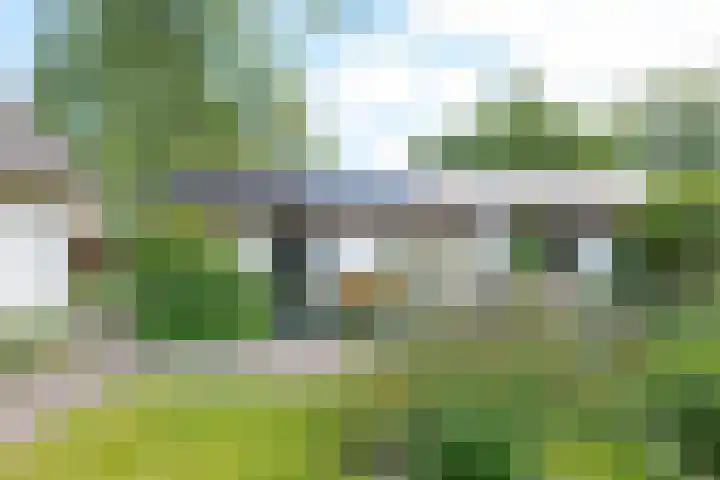 Zuideind 19 Drouwenerveen thumbnail 53