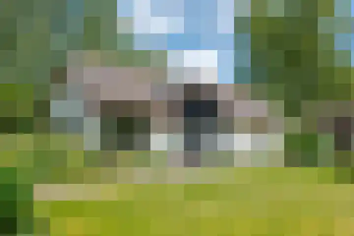 Zuideind 19 Drouwenerveen thumbnail 6