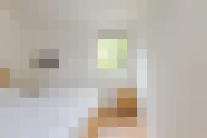 Zuideind 19 Drouwenerveen thumbnail 61