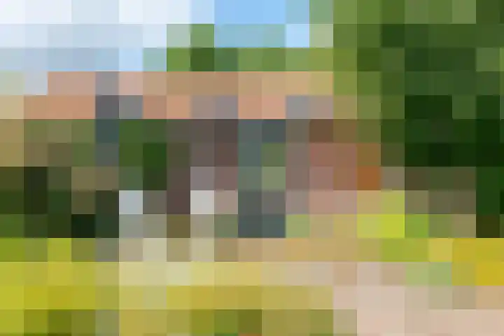 Zuideind 19 Drouwenerveen thumbnail 66