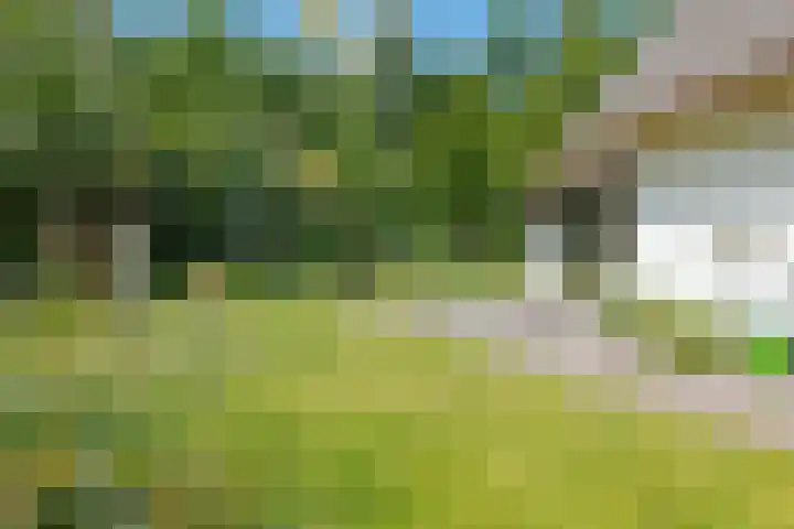Zuideind 19 Drouwenerveen thumbnail 69