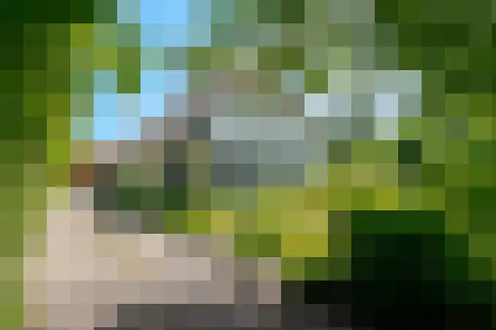 Zuideind 19 Drouwenerveen thumbnail 7