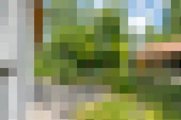 Zuideind 19 Drouwenerveen thumbnail 70
