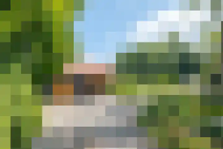 Zuideind 19 Drouwenerveen thumbnail 73