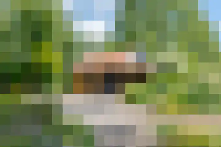 Zuideind 19 Drouwenerveen thumbnail 74