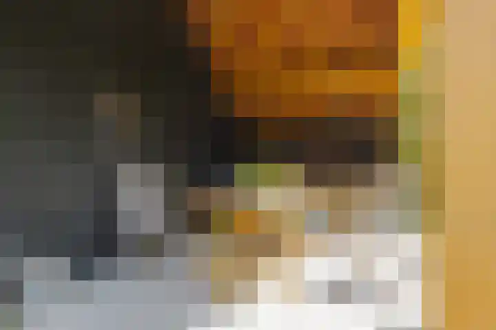 Zuideind 19 Drouwenerveen thumbnail 75