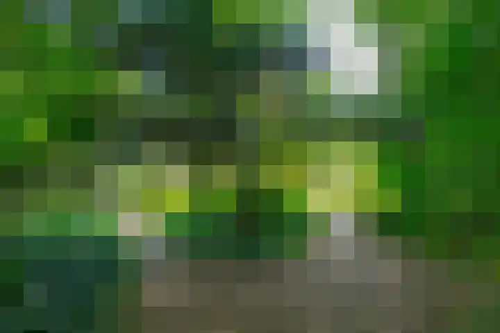 Zuideind 19 Drouwenerveen thumbnail 77