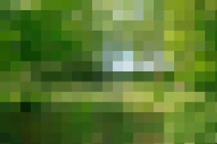 Zuideind 19 Drouwenerveen thumbnail 78
