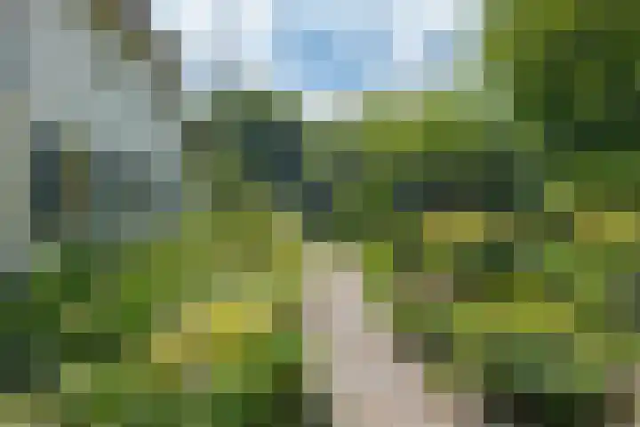 Zuideind 19 Drouwenerveen thumbnail 8