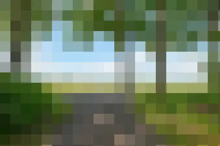 Zuideind 19 Drouwenerveen thumbnail 80