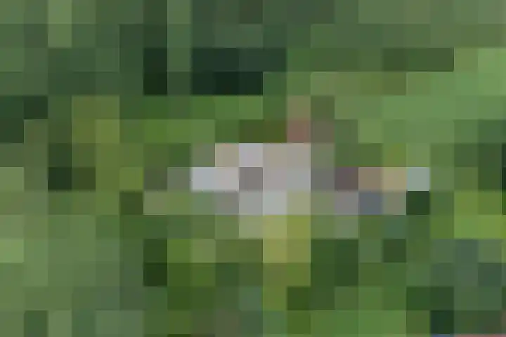 Zuideind 19 Drouwenerveen thumbnail 83