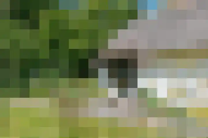 Zuideind 19 Drouwenerveen thumbnail 9