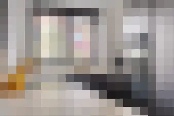 Zuideind 9 Made thumbnail 10