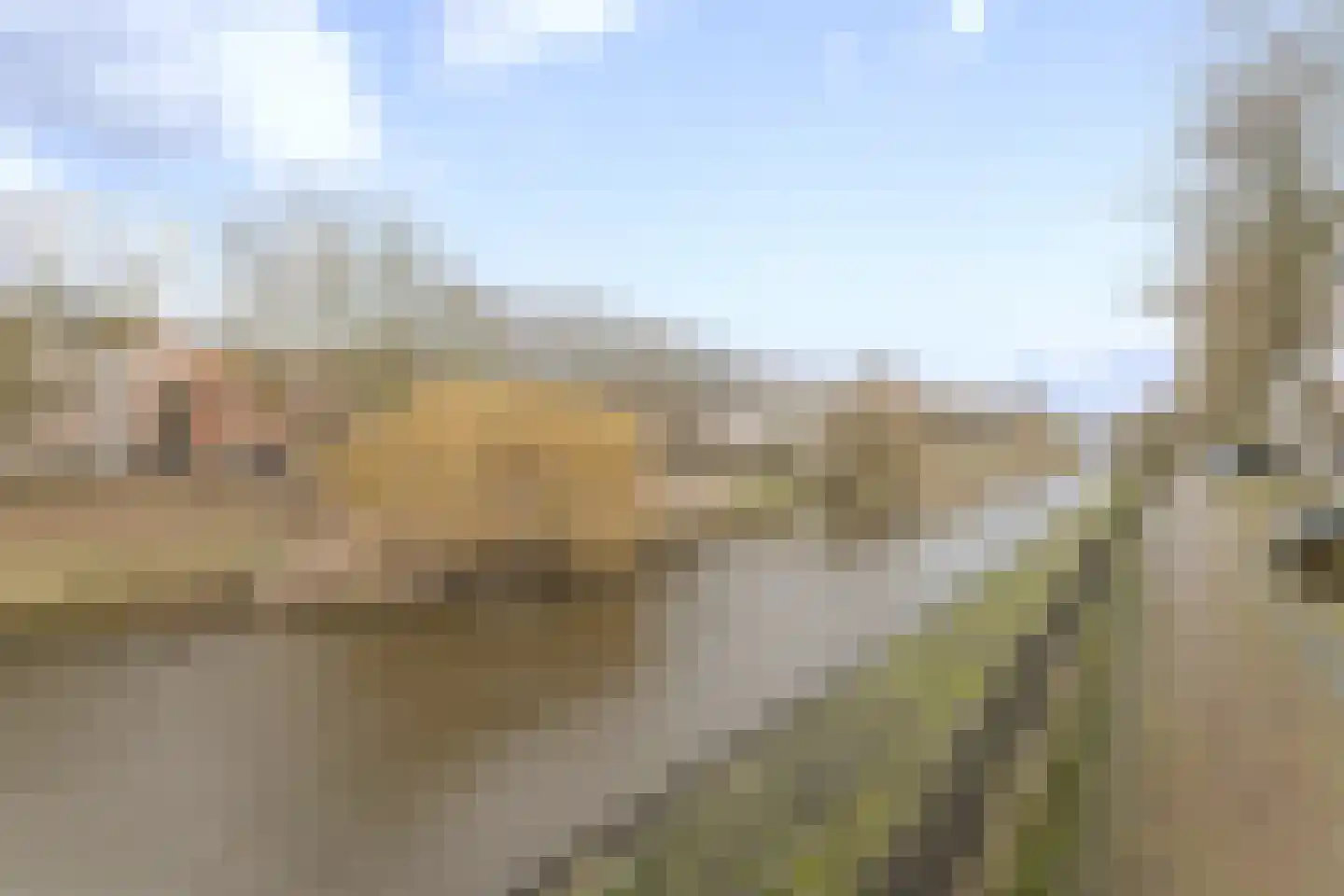 Zuideind 9 Made thumbnail 12