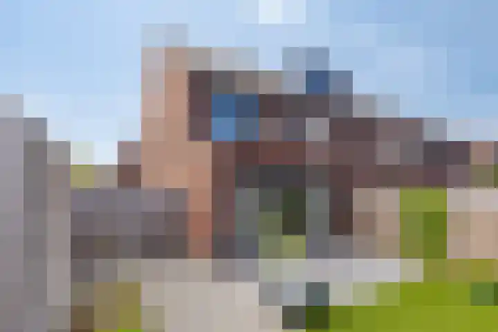Zuideind 9 Made thumbnail 23