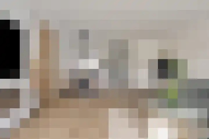 Zuideind 9 Made thumbnail 7