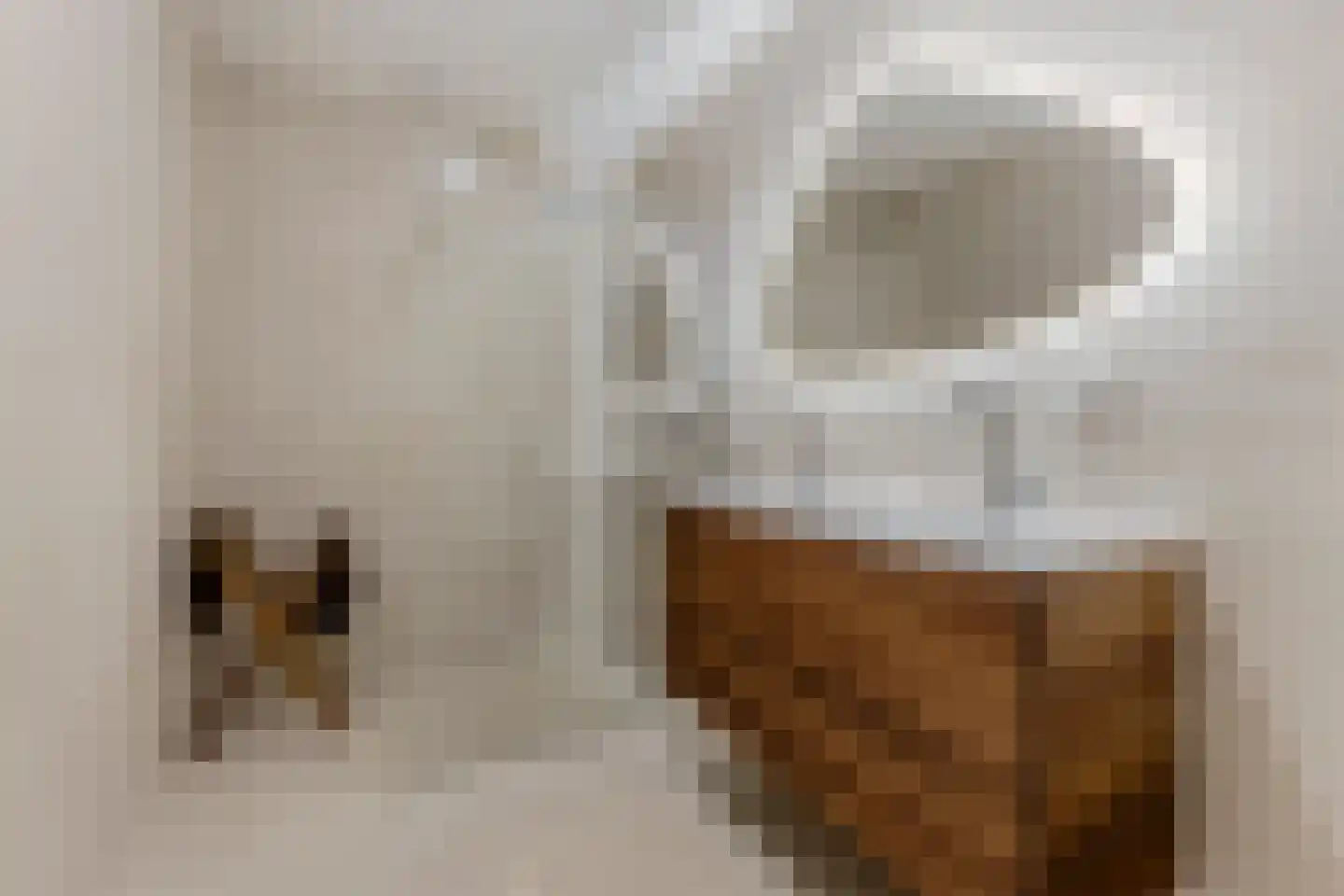 Zuideinde 1 A Wormerveer thumbnail 21