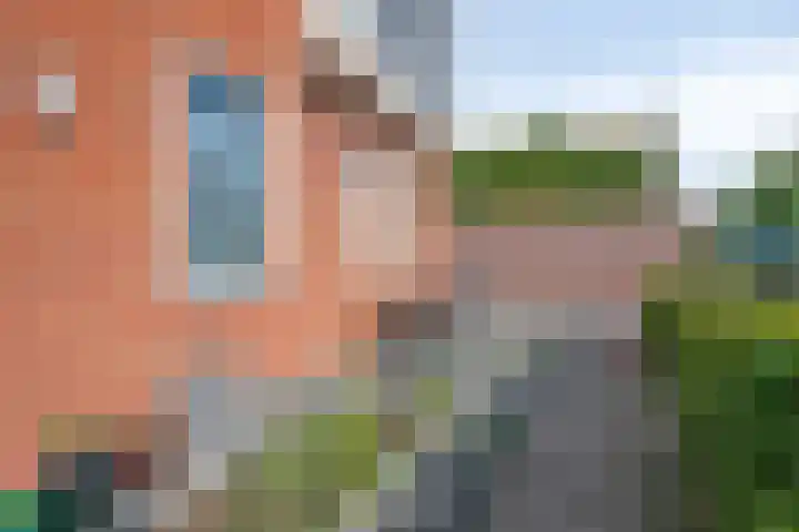 Zuideinde 1 E Koog aan de Zaan thumbnail 10