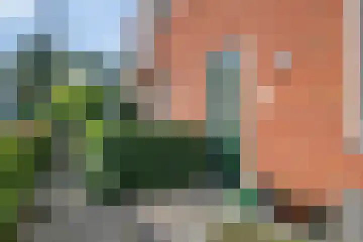 Zuideinde 1 E Koog aan de Zaan thumbnail 11