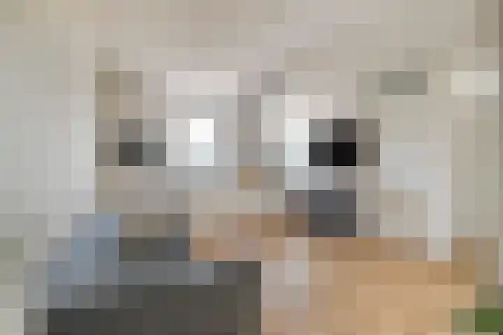 Zuideinde 1 E Koog aan de Zaan thumbnail 14