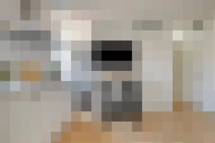 Zuideinde 1 E Koog aan de Zaan thumbnail 18