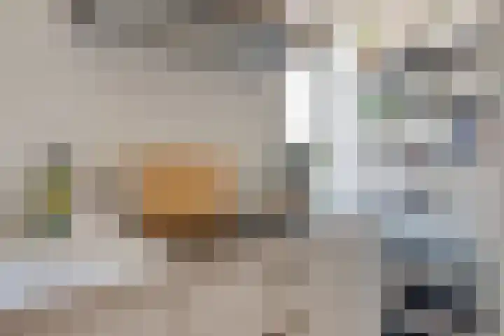 Zuideinde 1 E Koog aan de Zaan thumbnail 19