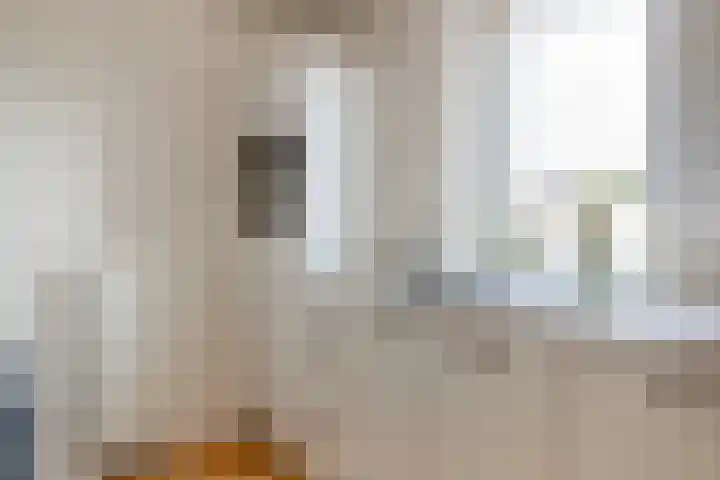 Zuideinde 1 E Koog aan de Zaan thumbnail 20