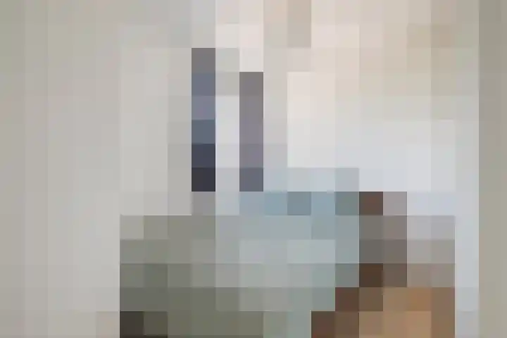 Zuideinde 1 E Koog aan de Zaan thumbnail 21