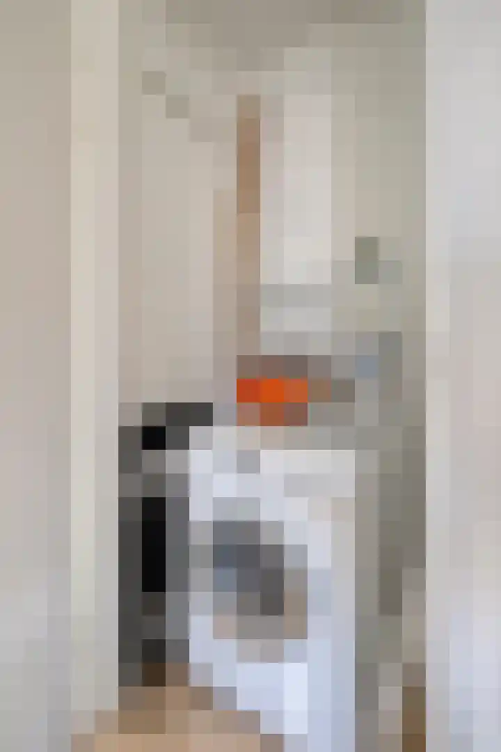 Zuideinde 1 E Koog aan de Zaan thumbnail 27