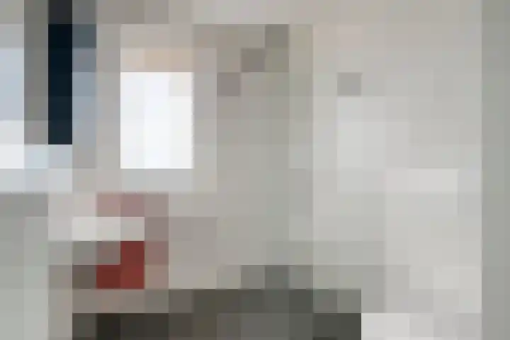 Zuideinde 1 E Koog aan de Zaan foto 3