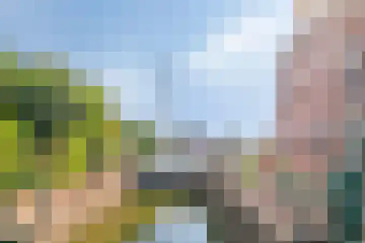 Zuideinde 1 E Koog aan de Zaan thumbnail 4
