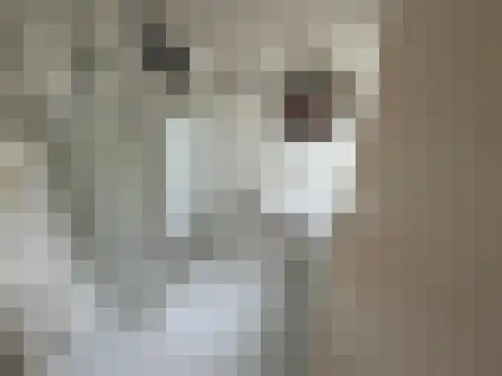 Zuideinde 1 Exloo thumbnail 13