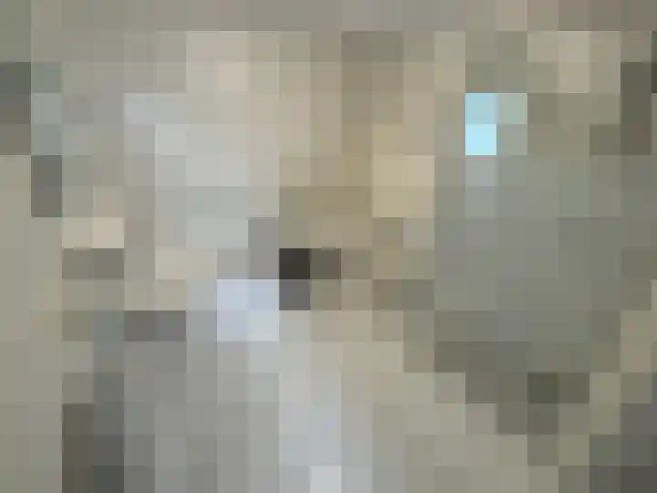 Zuideinde 1 Exloo thumbnail 15