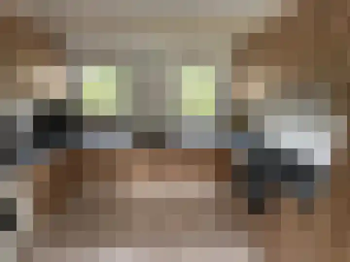 Zuideinde 1 Exloo thumbnail 20